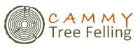 Cammy Tree Felling image 1